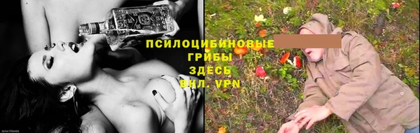 сатива Алексеевка