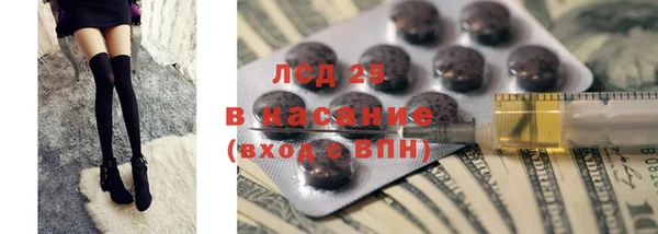 шишки Алзамай