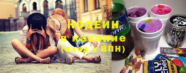 шишки Алзамай