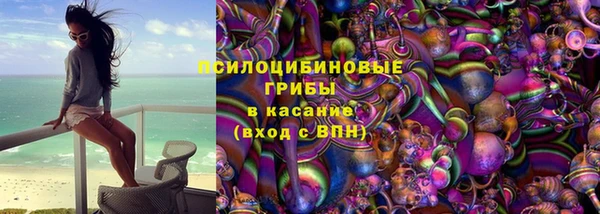 сатива Алексеевка