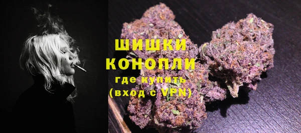 шишки Алзамай
