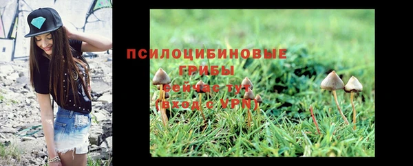 шишки Алзамай