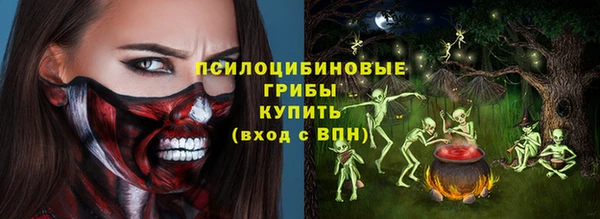 сатива Алексеевка
