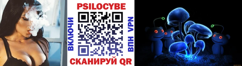 Псилоцибиновые грибы Cubensis  Приморск 